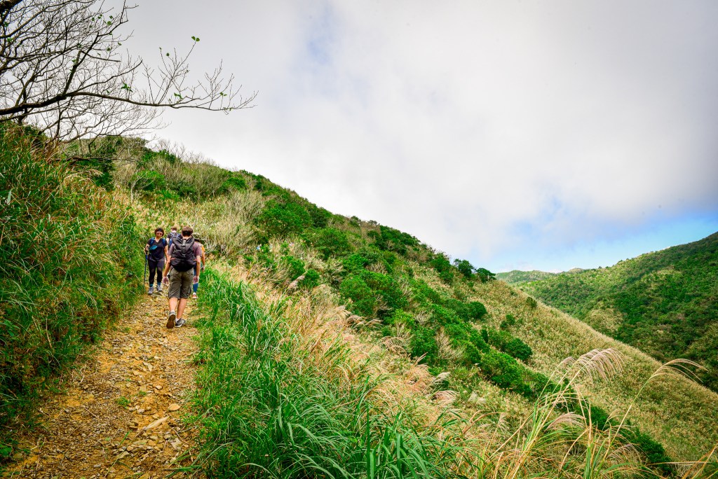 Hike Pingxi Historic Trail (坪溪古道) and witness the stunning Silver Grass of Taiwan's East Coast.